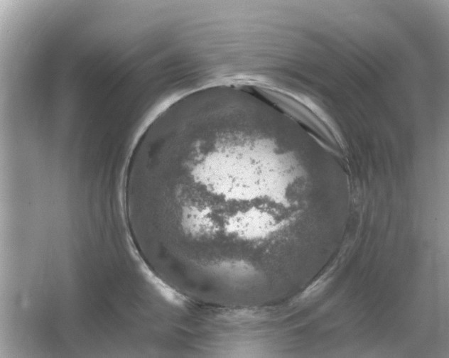 X0000067001054200604072144