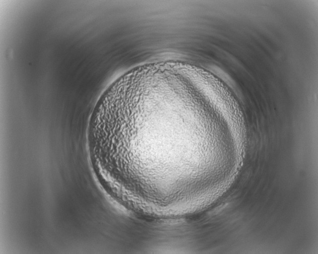 X0000067001055200604072144