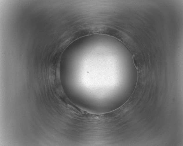 X0000067001058200604072143