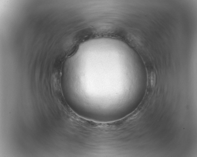 X0000067001059200604072143