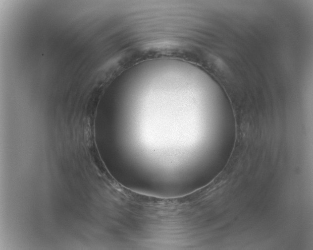 X0000067001062200604072143