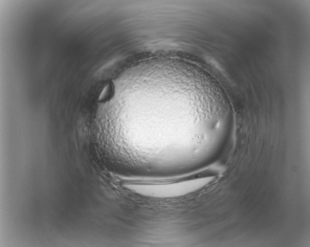 X0000067001063200604072143