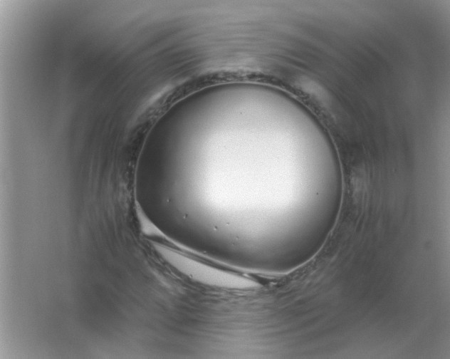 X0000067001064200604072143