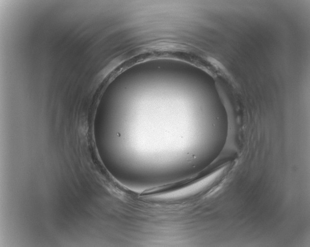 X0000067001065200604072143