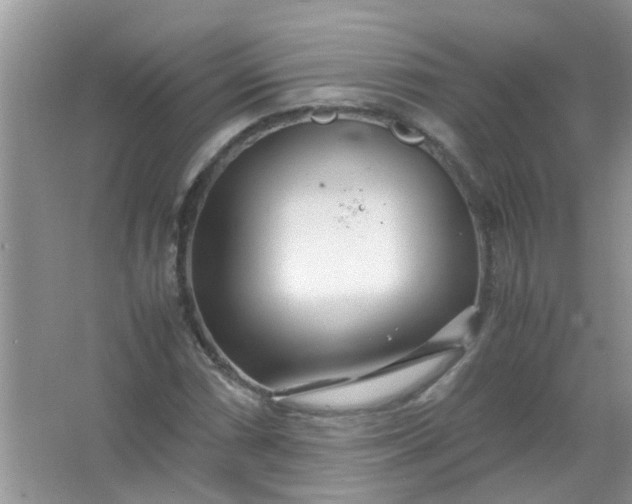 X0000067001066200604072143