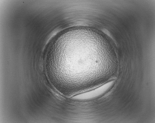 X0000067001067200604072143