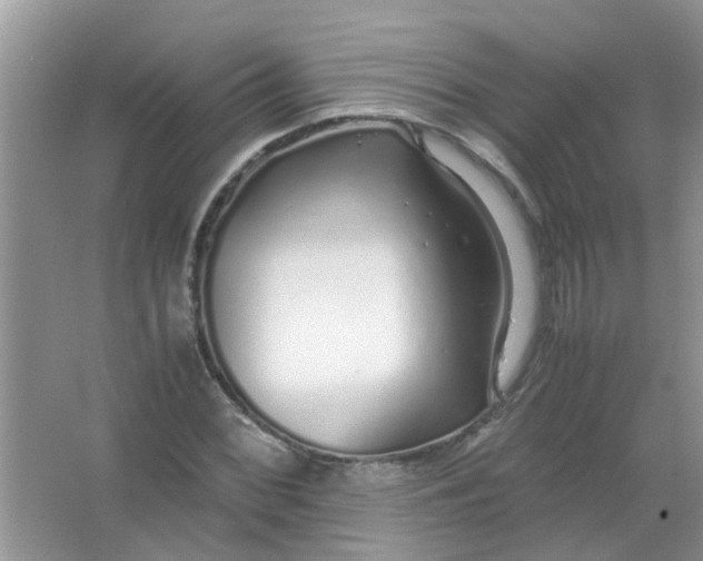 X0000067001068200604072143