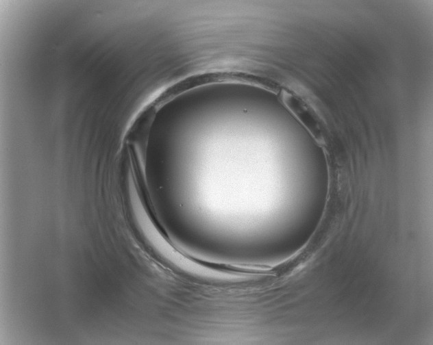 X0000067001069200604072143