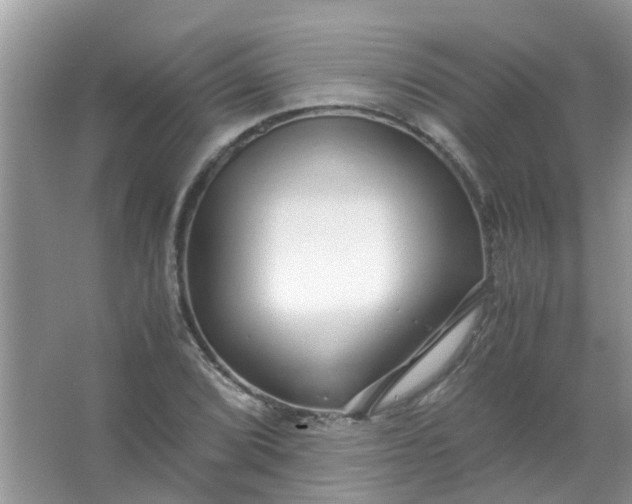 X0000067001072200604072143