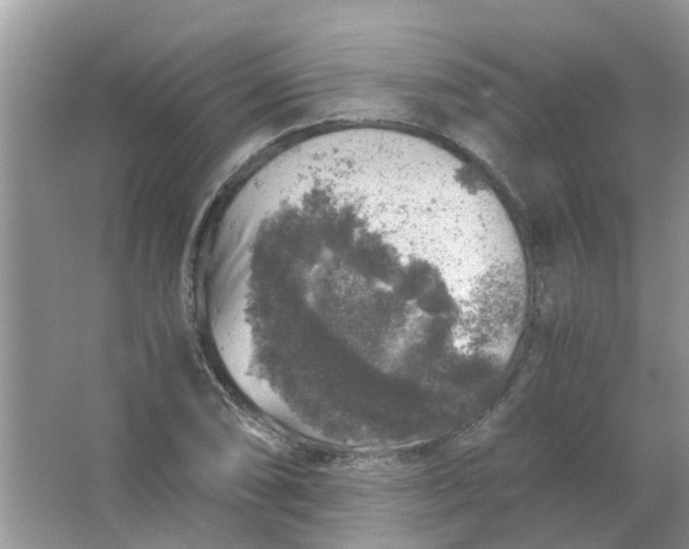 X0000067001074200604072143