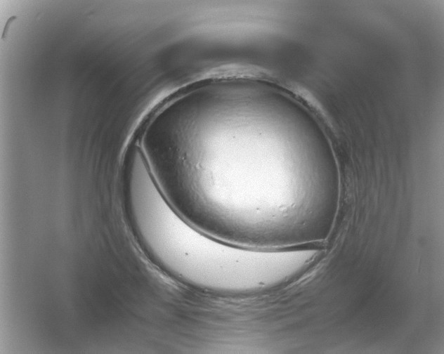 X0000067001075200604072143