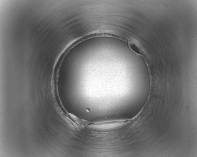 X0000067001076200604072143