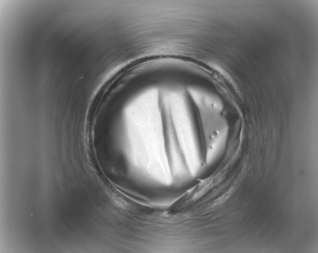 X0000067001077200604072143