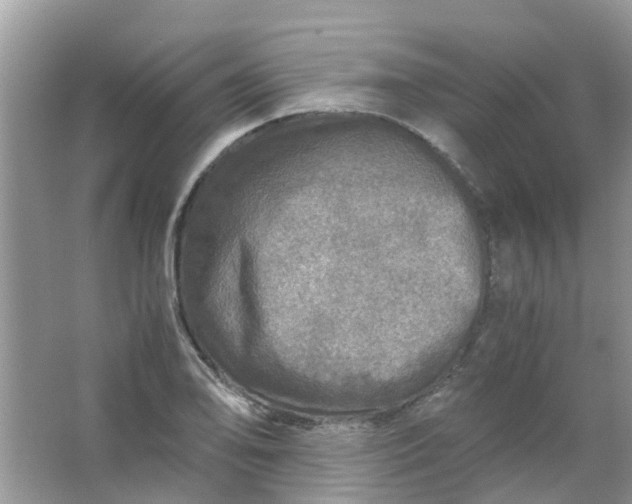 X0000067001078200604072143