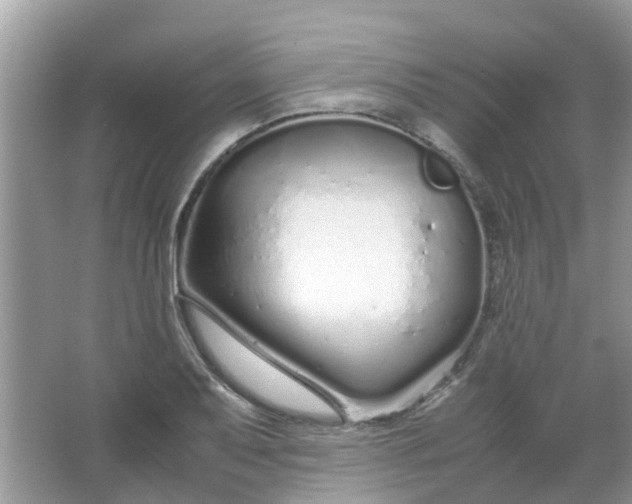 X0000067001079200604072143