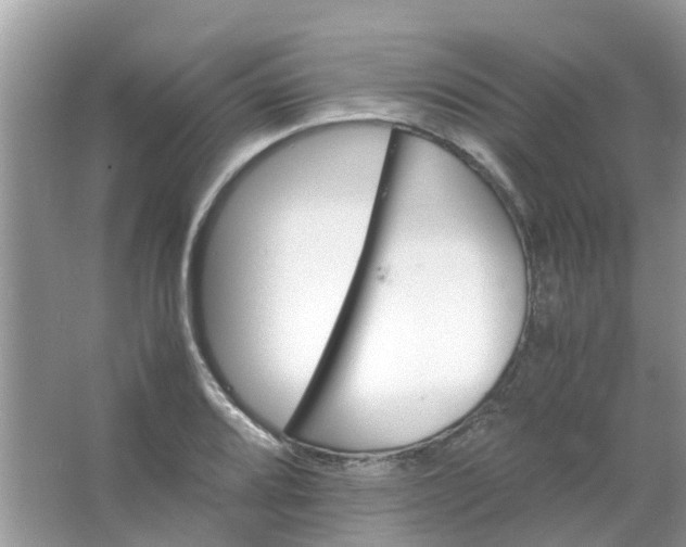 X0000067001080200604072143