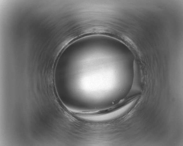 X0000067001081200604072143