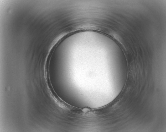 X0000067001082200604072143