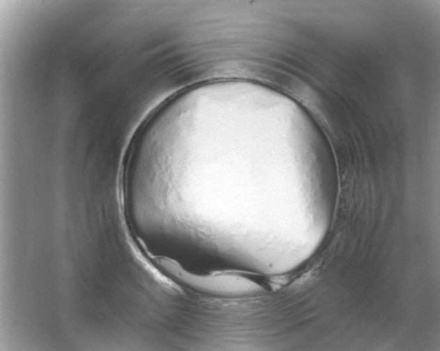 X0000067001084200604072143