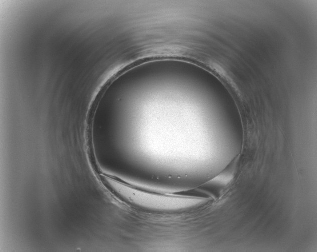 X0000067001085200604072143