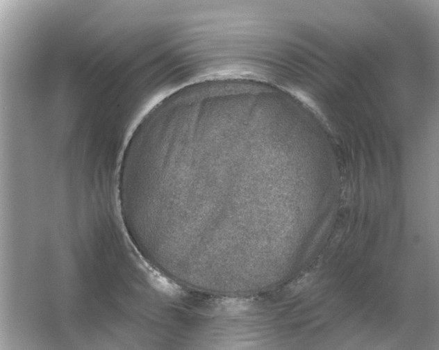 X0000067001086200604072143