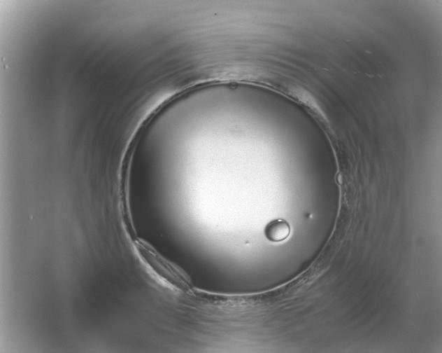 X0000067001087200604072143