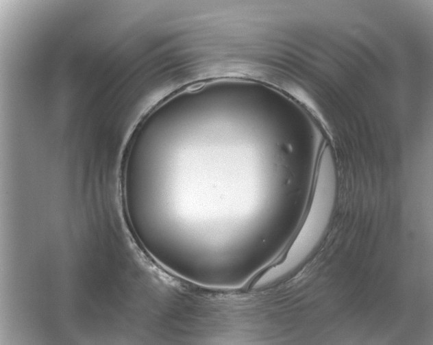 X0000067001088200604072143