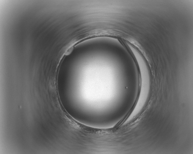 X0000067001089200604072142