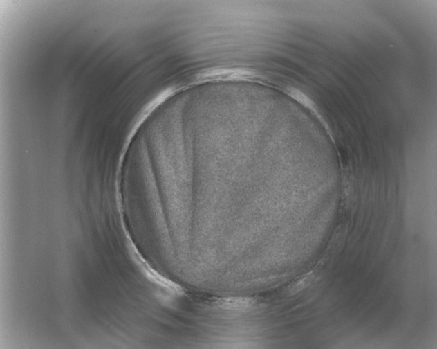 X0000067001090200604072142