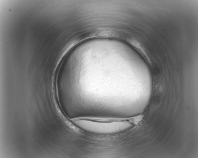 X0000067001091200604072142