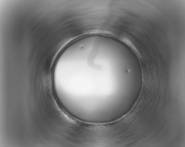 X0000067001092200604072142