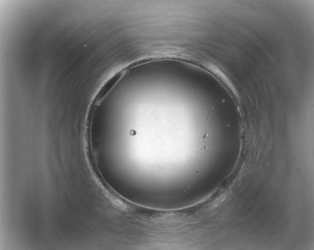 X0000067001093200604072142