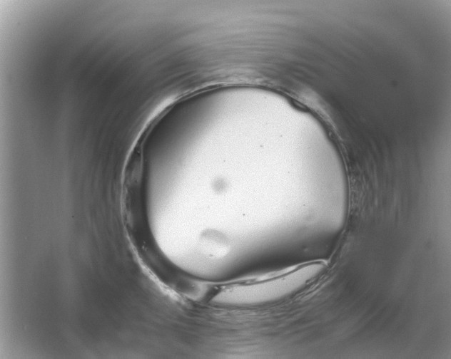 X0000067001095200604072142