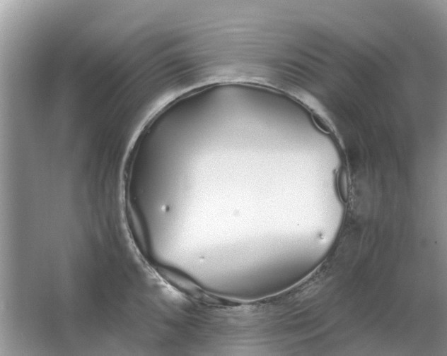 X0000067001096200604072142