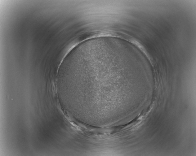 X0000067001097200604072142