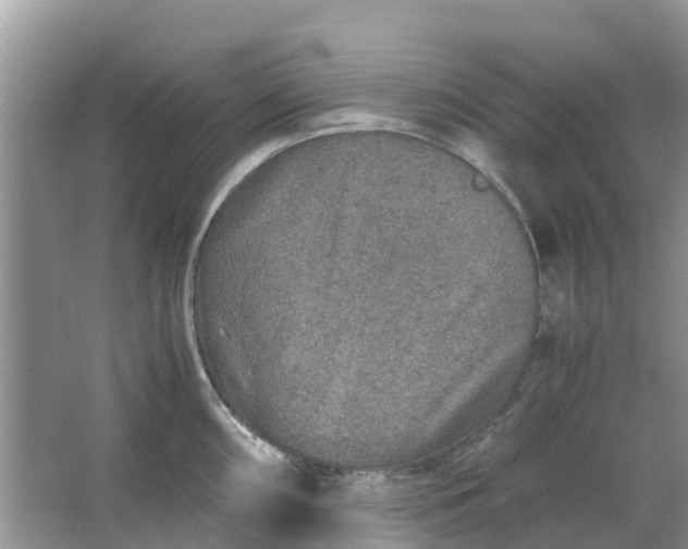 X0000067001098200604072142