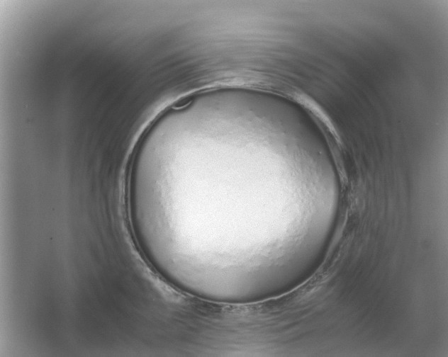 X0000067001099200604072142