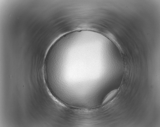 X0000067001100200604072142