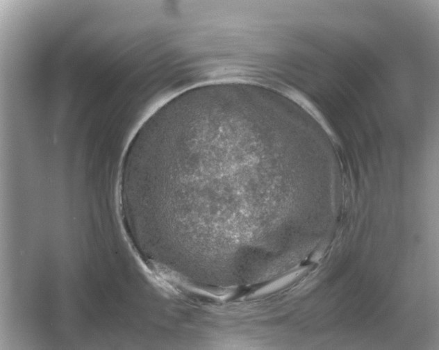 X0000067001101200604072142