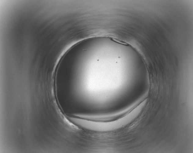 X0000067001102200604072142