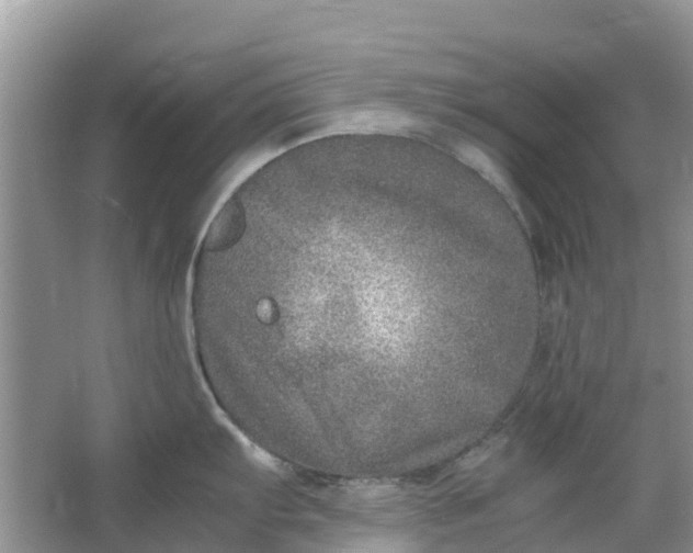 X0000067001103200604072142