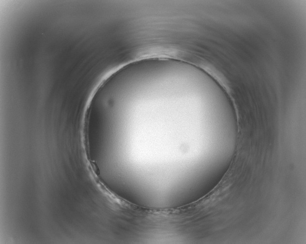 X0000067001104200604072142