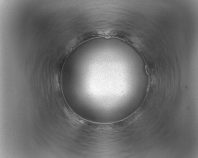 X0000067001106200604072141