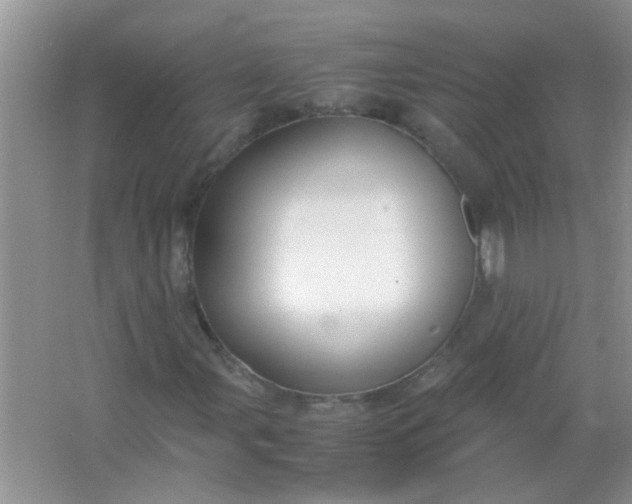 X0000067001107200604072141