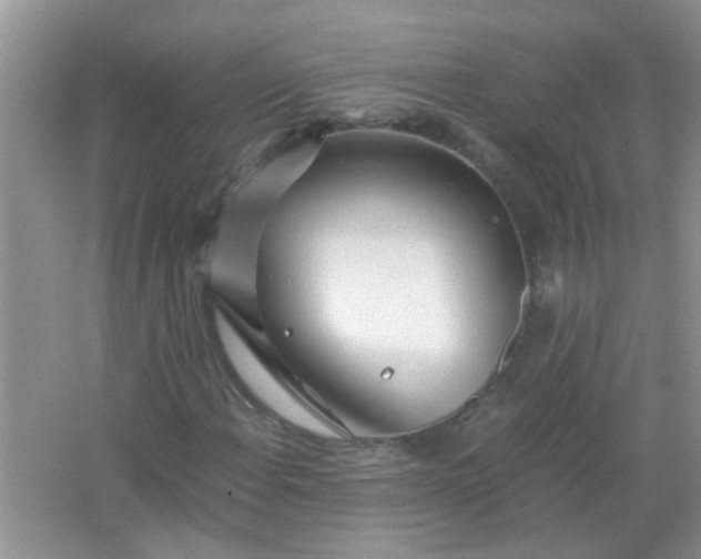 X0000067001108200604072141