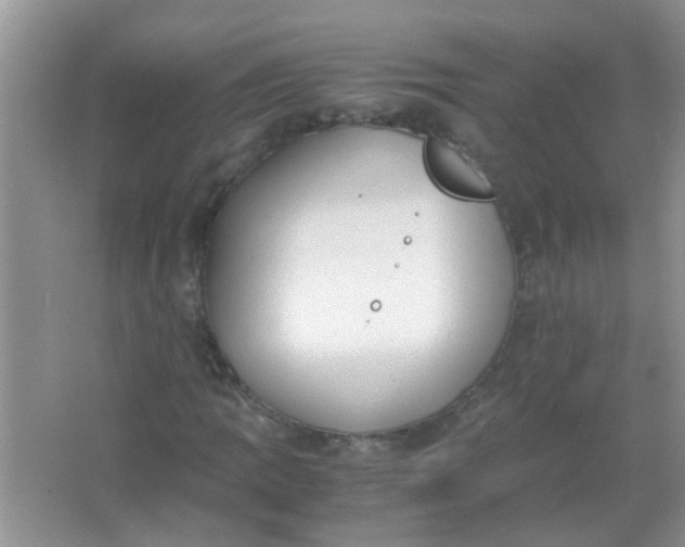 X0000067001109200604072141