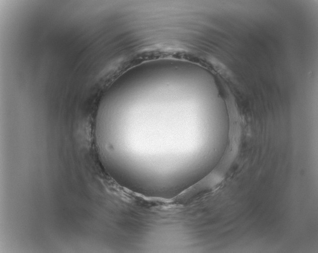 X0000067001110200604072142