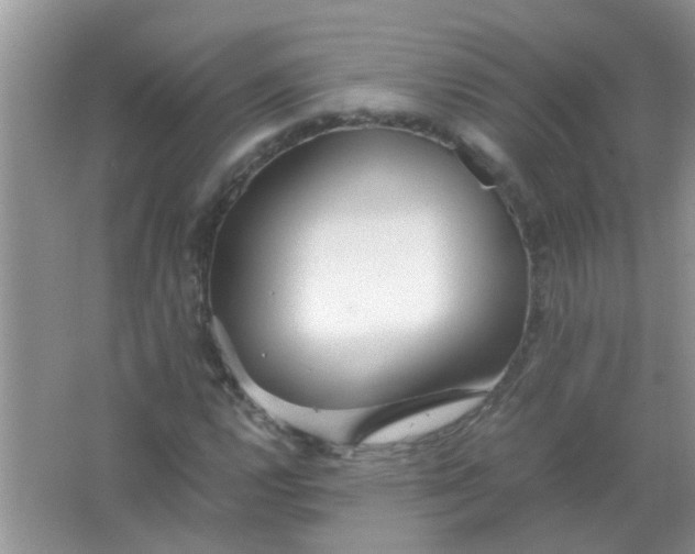 X0000067001112200604072142