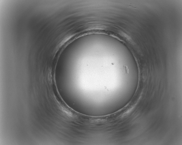 X0000067001113200604072142