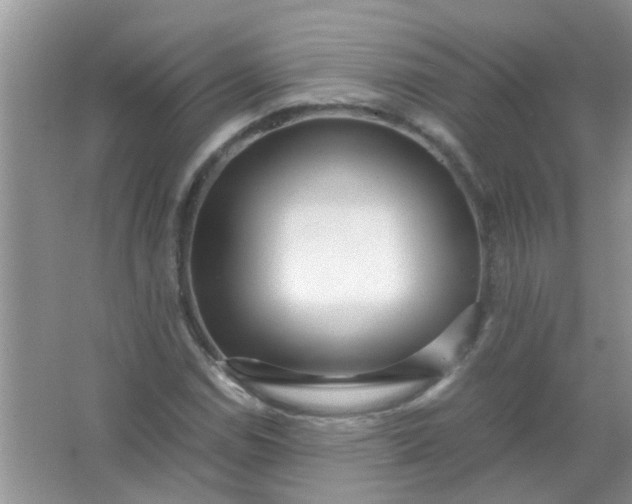 X0000067001114200604072142